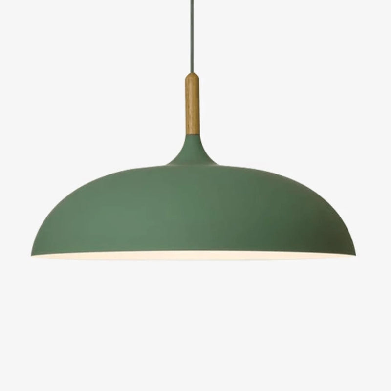 Modern Wrought Iron Pendant Light With Warm Daylight Glow in Green — James New York