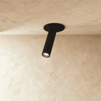 Modern Aluminum Cylinder Track Head Ceiling Light in Black — James New York