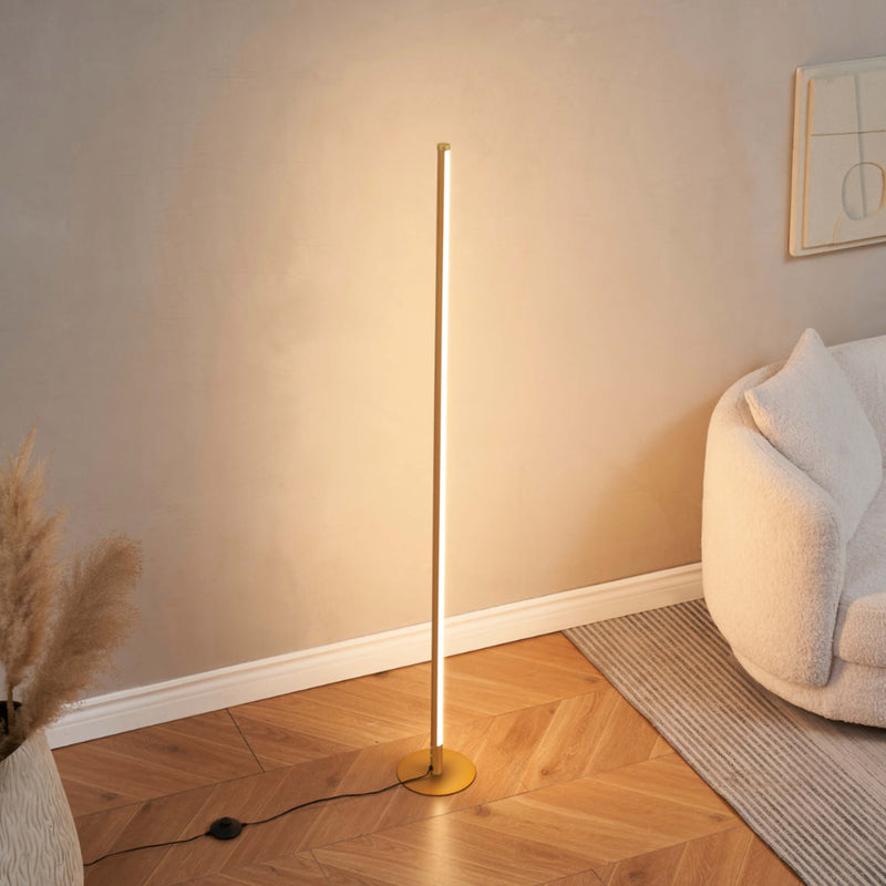 Minimalist Metal Floor Lamp With Tri-Color Dimming for Living Room in Gold — James New York