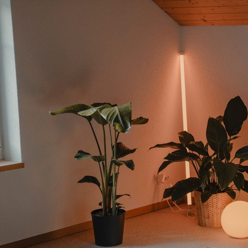 Minimalist Plastic LED Floor Lamp for Living Room and Bedroom — James New York