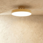 Modern Iron Semi-Flush Ceiling Light for Living Room — James New York