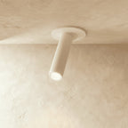 Modern Aluminum Cylinder Track Head Ceiling Light in Small: D6" (D2.3 cm) x H5.3"(13.5cm) — James New York