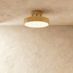 Modern Iron Semi-Flush Ceiling Light for Living Room — James New York