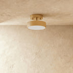 Modern Iron Semi-Flush Ceiling Light for Living Room — James New York
